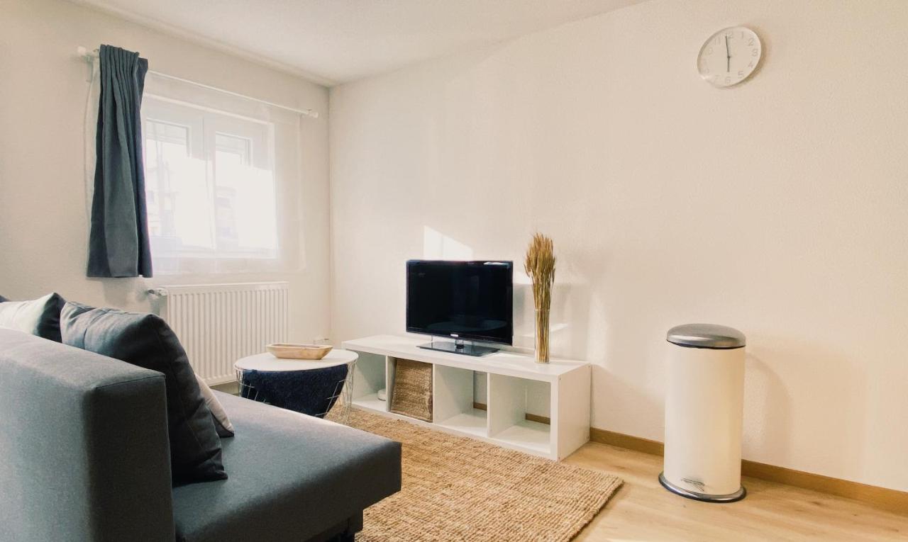 House 301 - Chaleureux - Wifi Haut Debit Vieux-Charmont Eksteriør billede